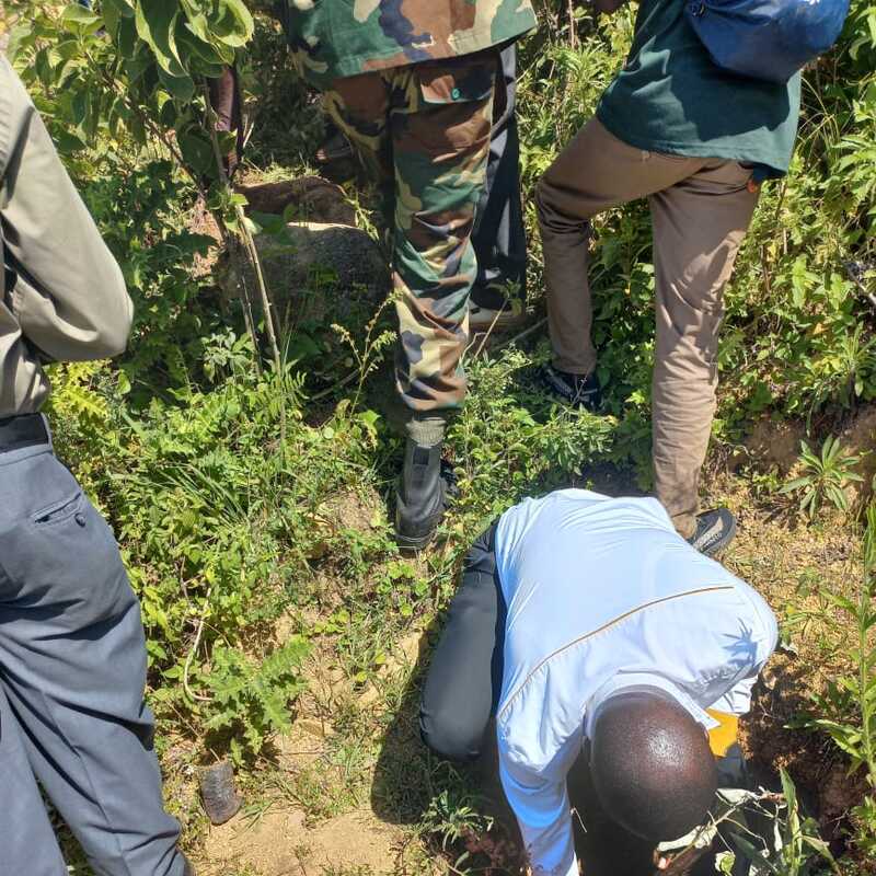 Tree planting planting initiative in Vihiga Maragoli East  ,ways of contributing to Environmental stewardship